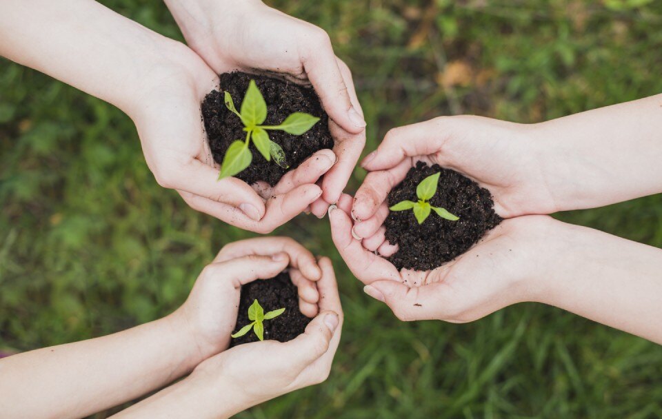Cuidado del medioambiente